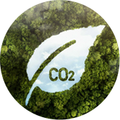 Zhejiang Ruiguan Porta et Fenestra Co., Ltd.